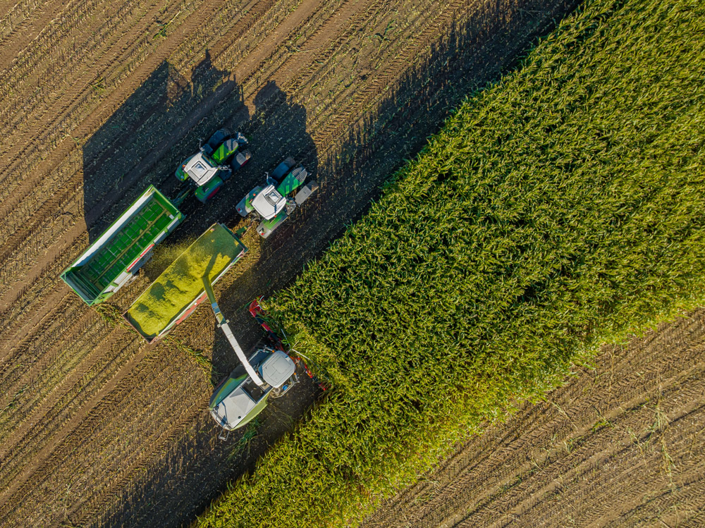 WAY trattore che lavora un campo